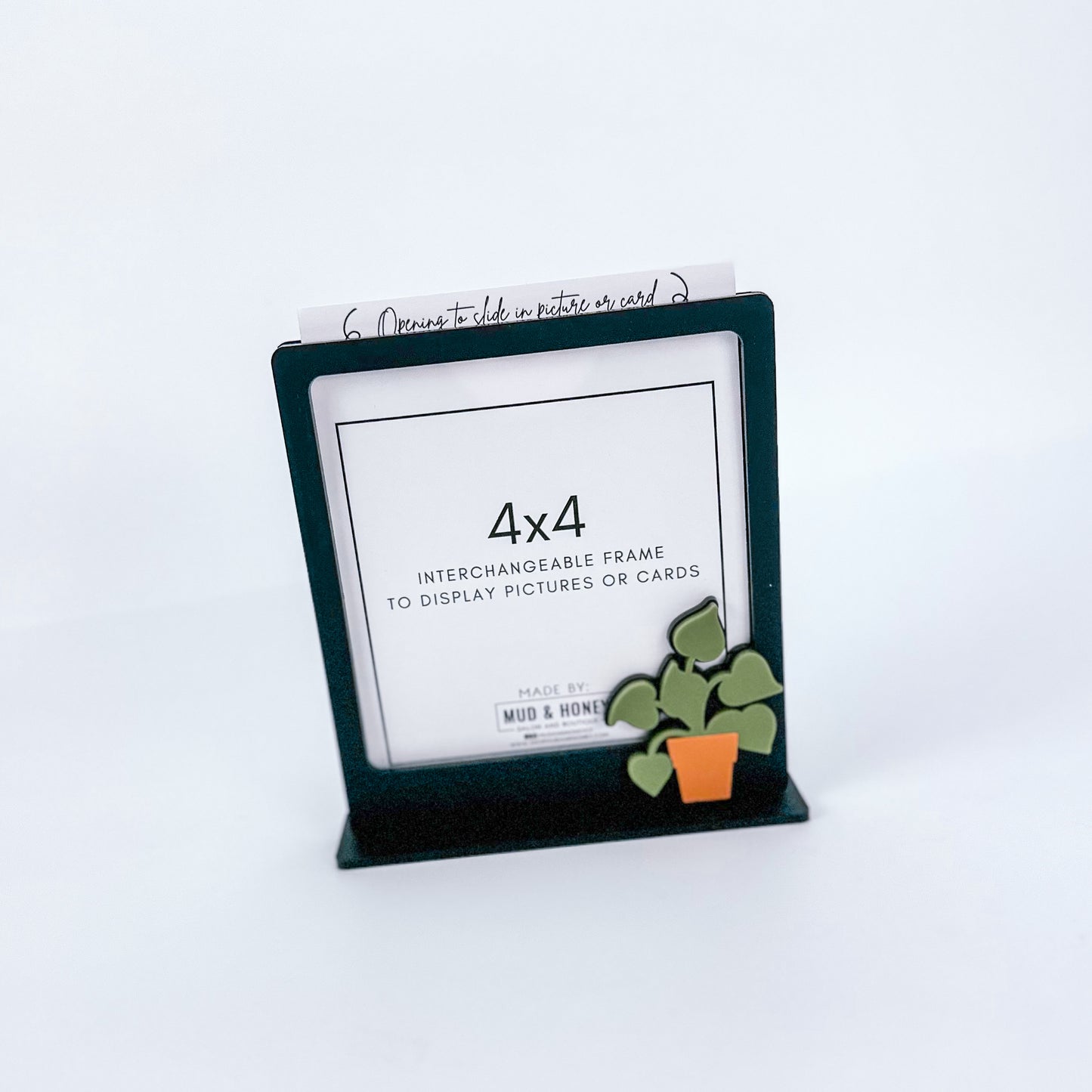 Acrylic Drop In Frame - Black Plant