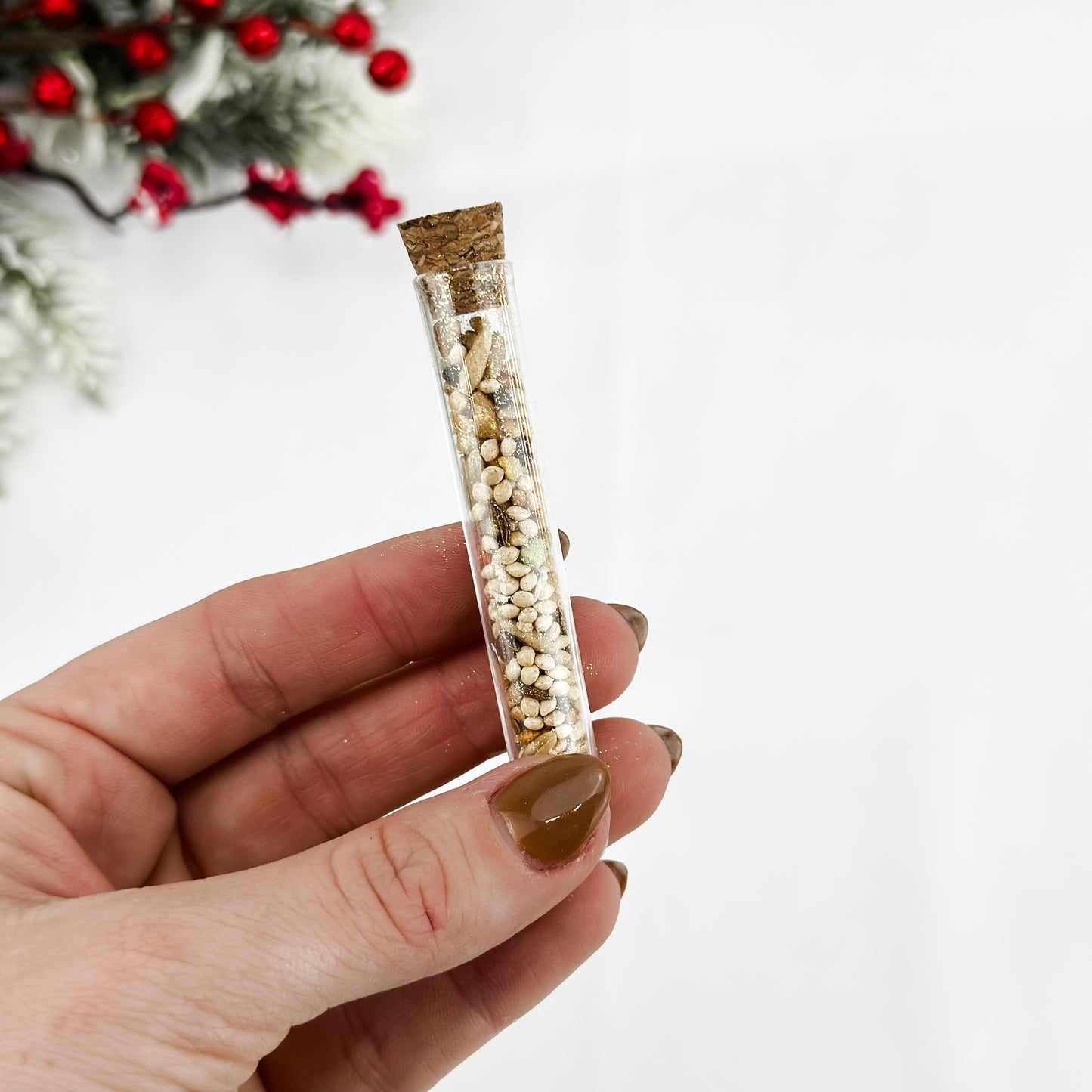 Magical Reindeer Food Ornament